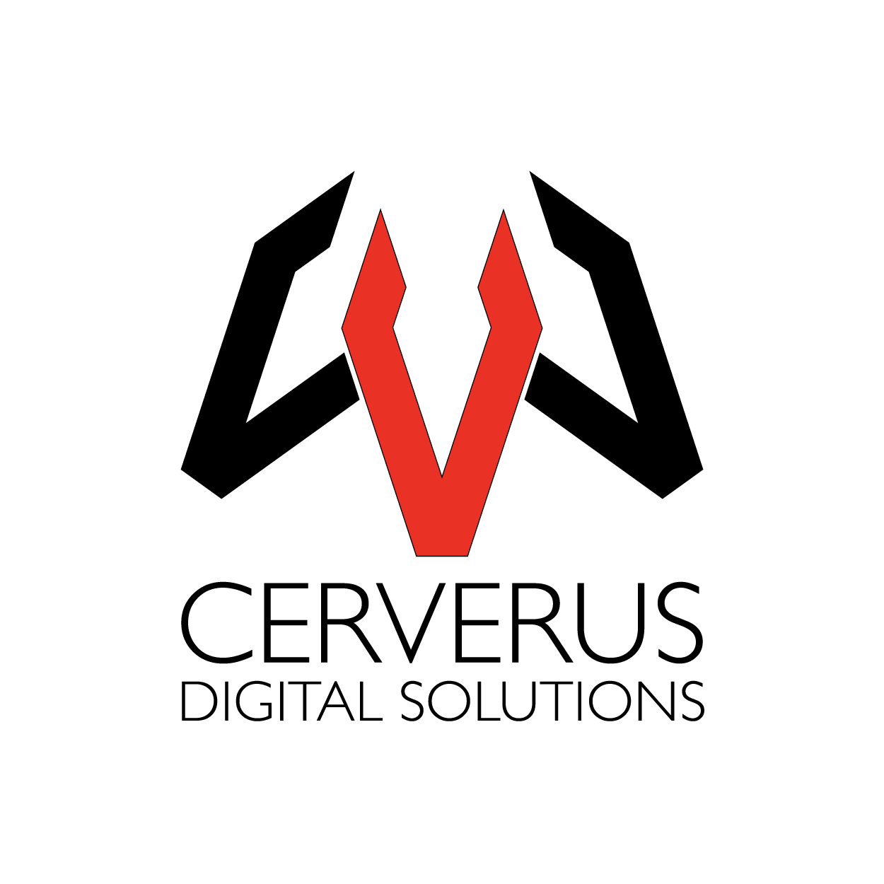 cerverus Digital Solution